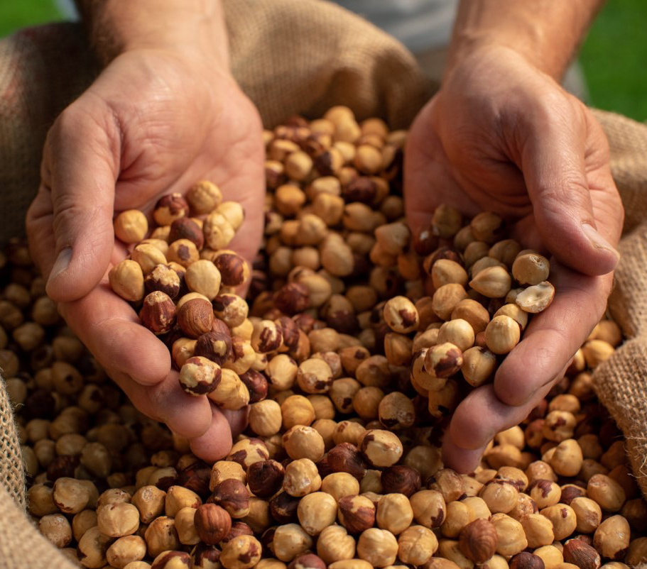 header hazelnuts Header-hazelnuts
