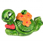 Turtles - preview
